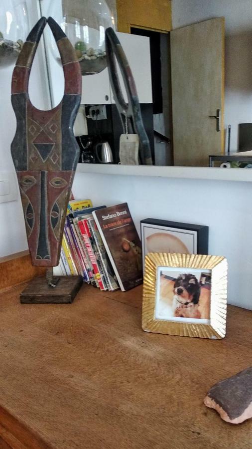 Le Nid Des Arènes Appartement